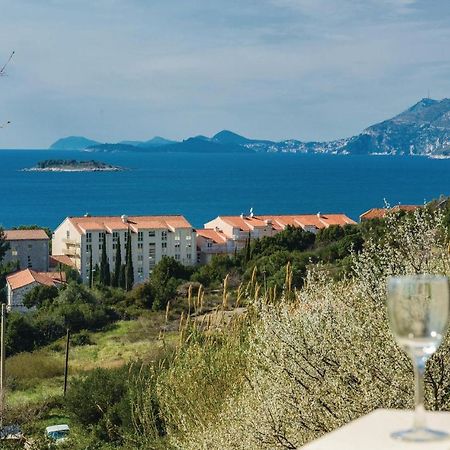Nice Apartment In Cavtat With Wifi Ngoại thất bức ảnh