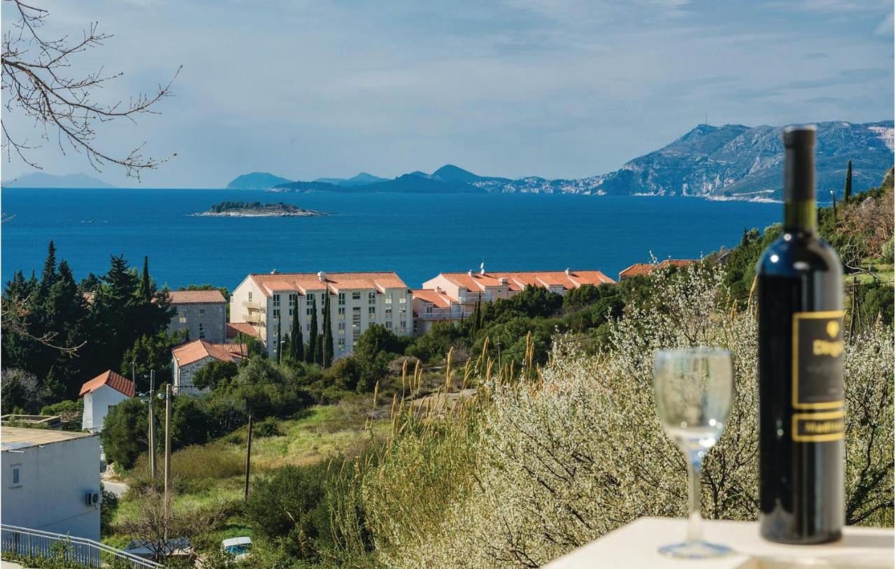 Nice Apartment In Cavtat With Wifi Ngoại thất bức ảnh